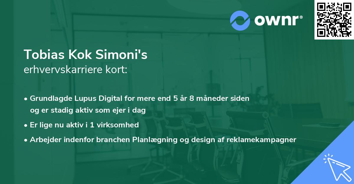 Tobias Kok Simoni's erhvervskarriere kort