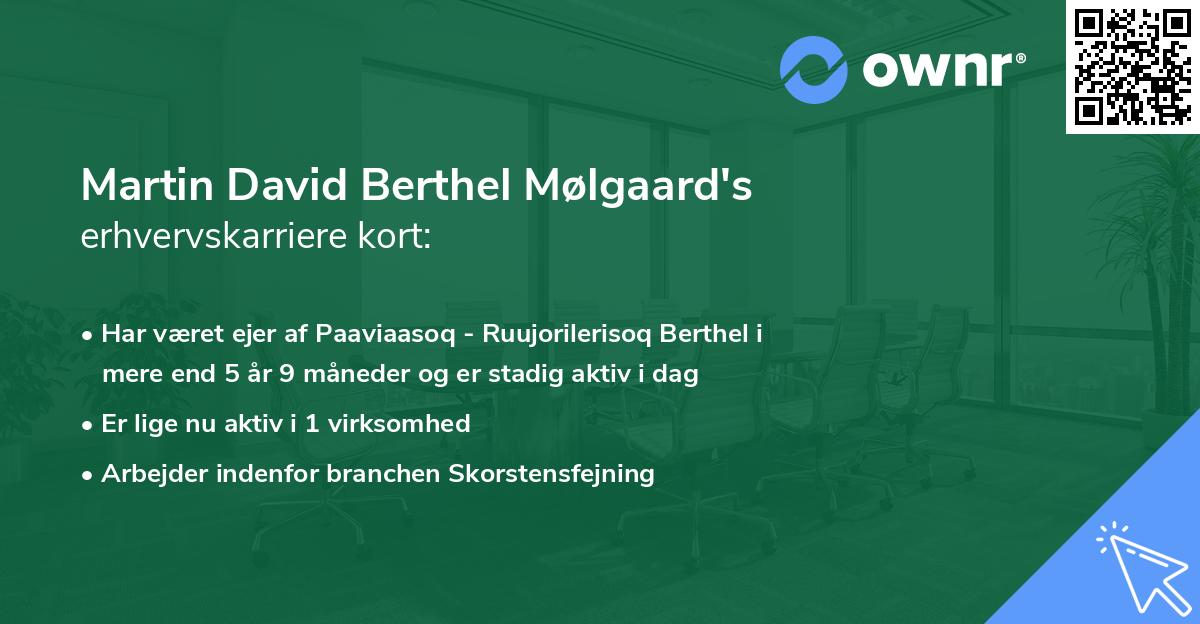 Martin David Berthel Mølgaard's erhvervskarriere kort