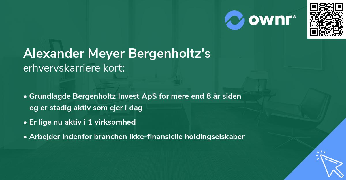 Alexander Meyer Bergenholtz's erhvervskarriere kort