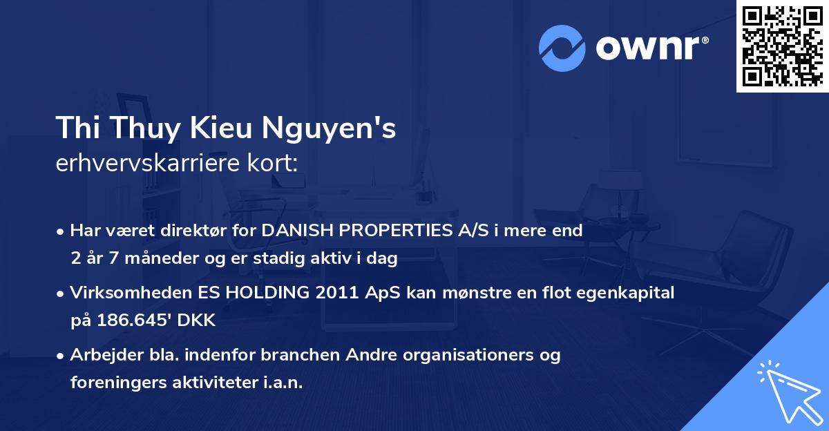 Thi Thuy Kieu Nguyen's erhvervskarriere kort