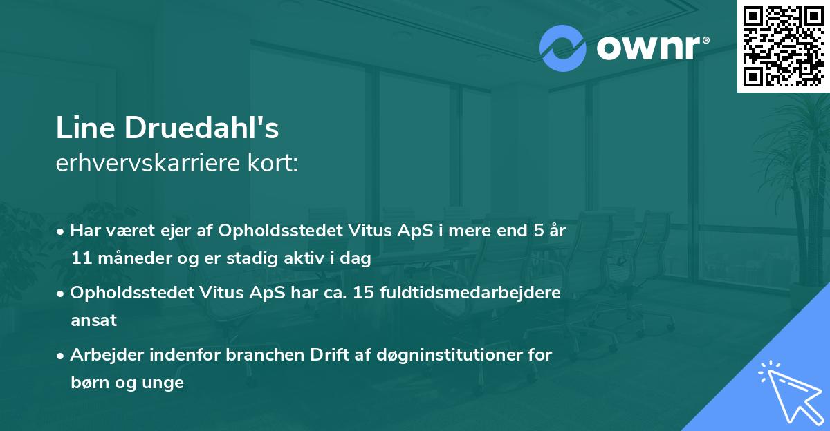 Line Druedahl's erhvervskarriere kort