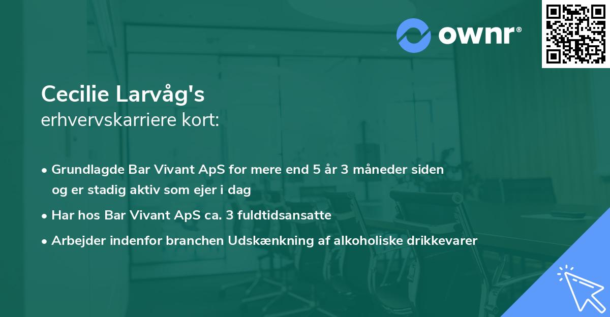 Cecilie Larvåg's erhvervskarriere kort