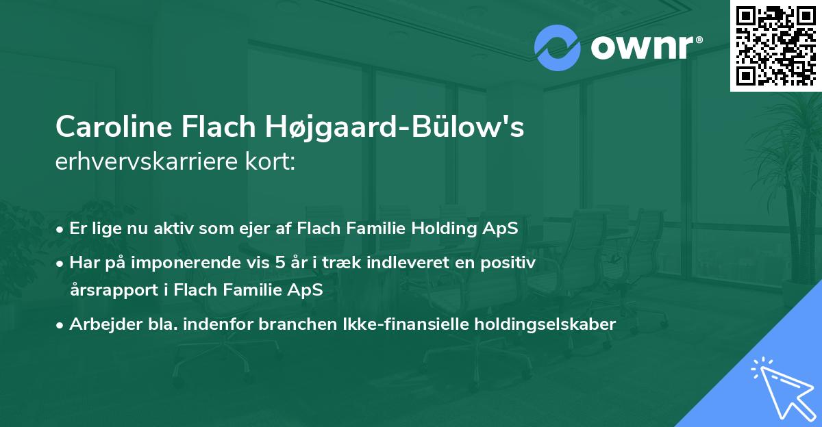 Caroline Flach Højgaard-Bülow's erhvervskarriere kort