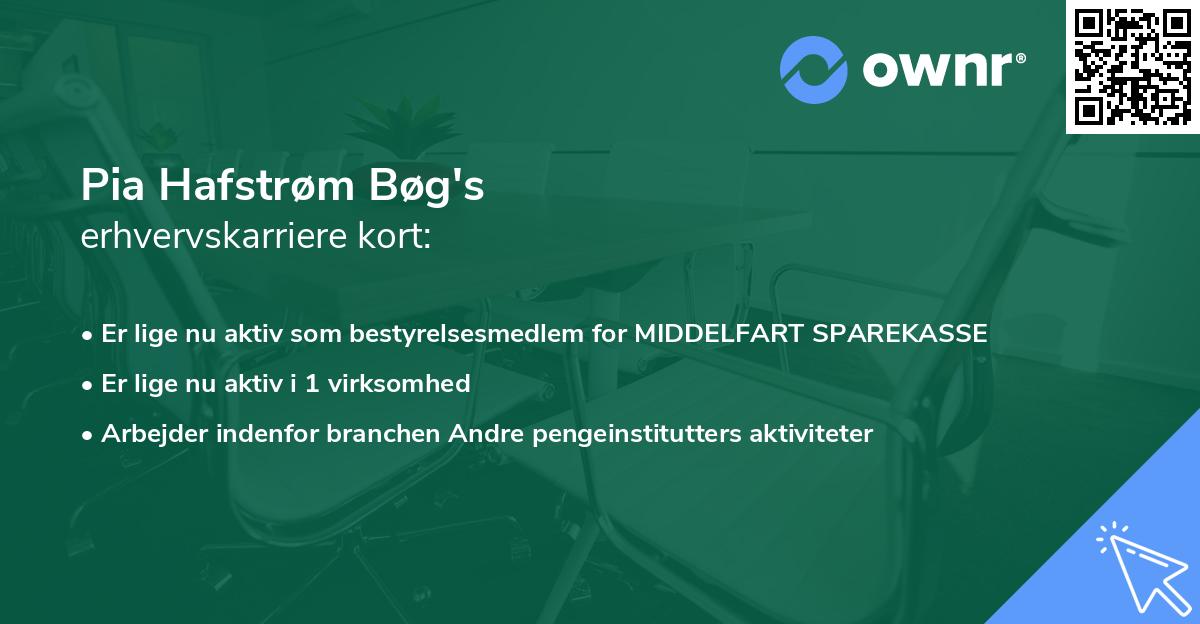 Pia Hafstrøm Bøg's erhvervskarriere kort