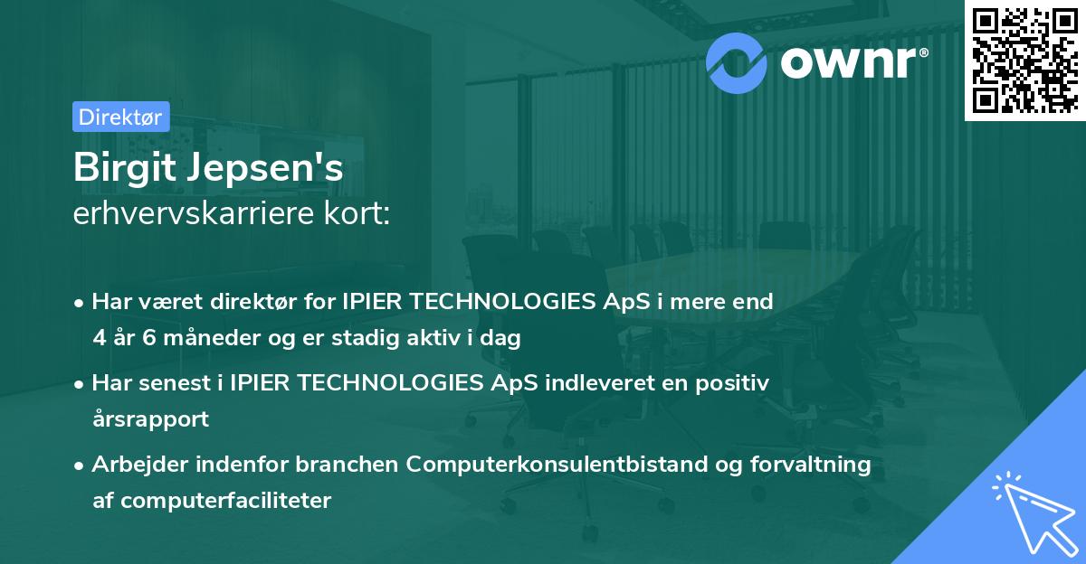 Birgit Jepsen's erhvervskarriere kort