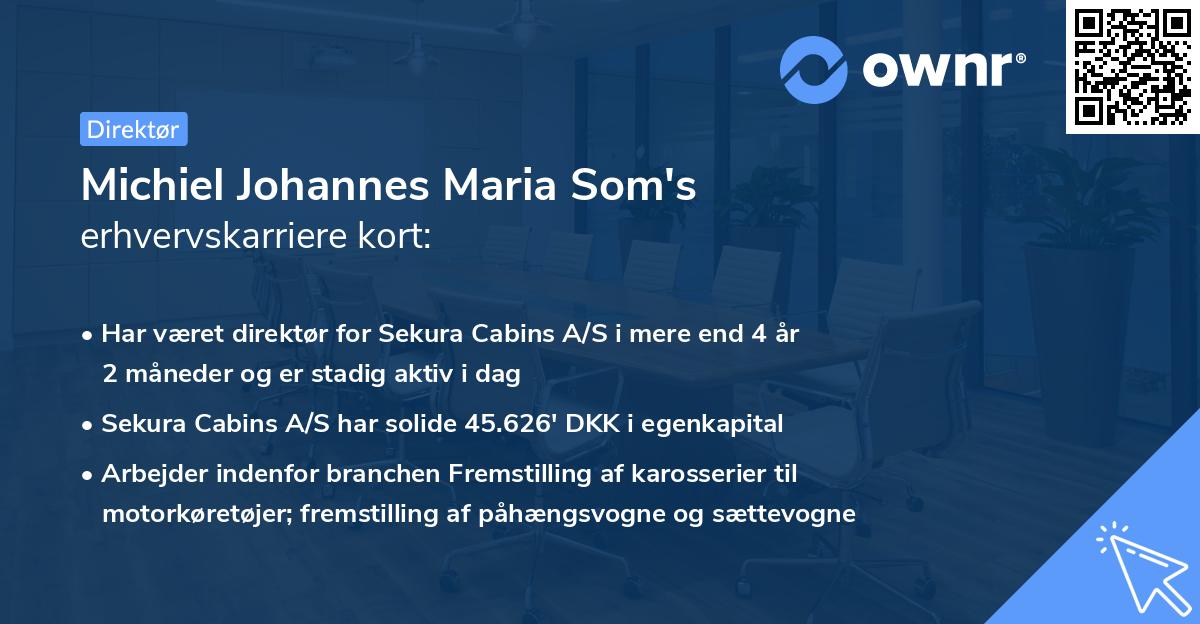 Michiel Johannes Maria Som's erhvervskarriere kort