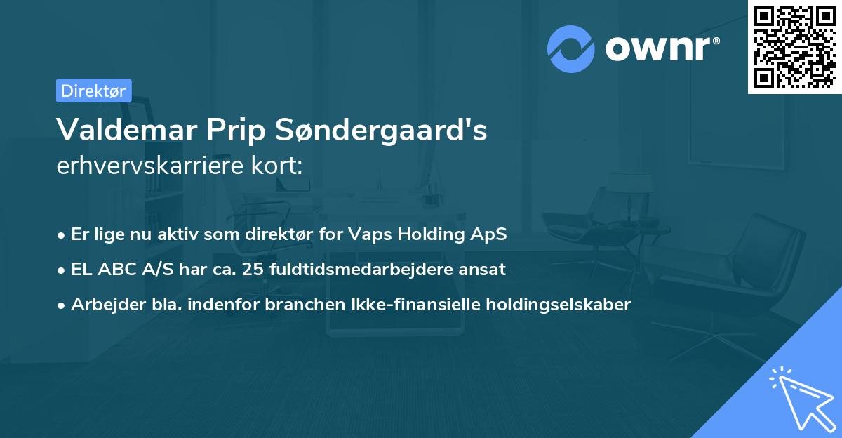 Valdemar Prip Søndergaard's erhvervskarriere kort