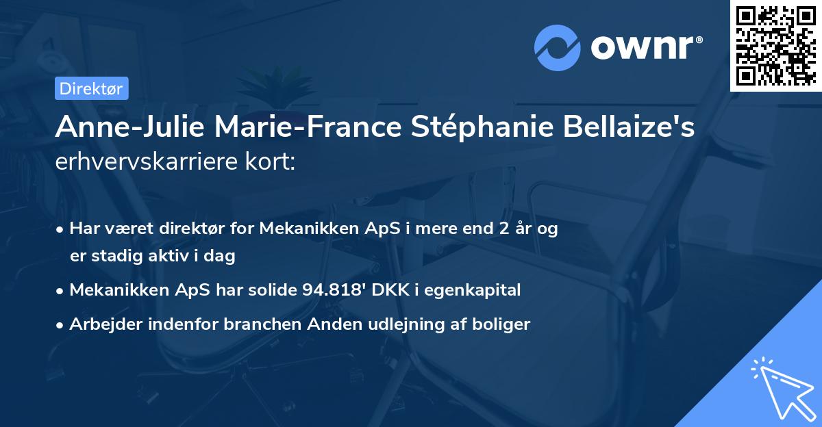 Anne-Julie Marie-France Stéphanie Bellaize's erhvervskarriere kort