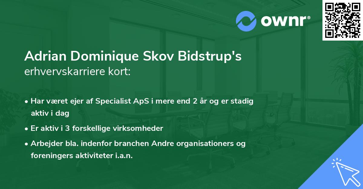 Adrian Dominique Skov Bidstrup's erhvervskarriere kort