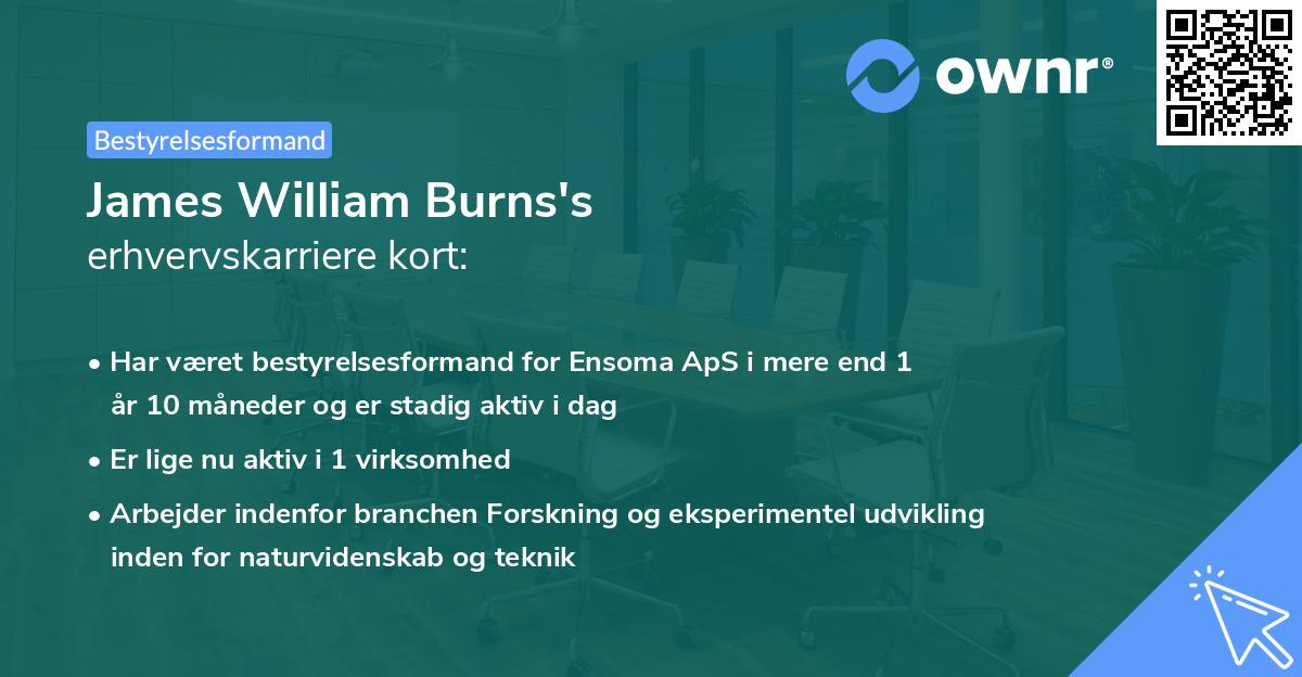 James William Burns's erhvervskarriere kort