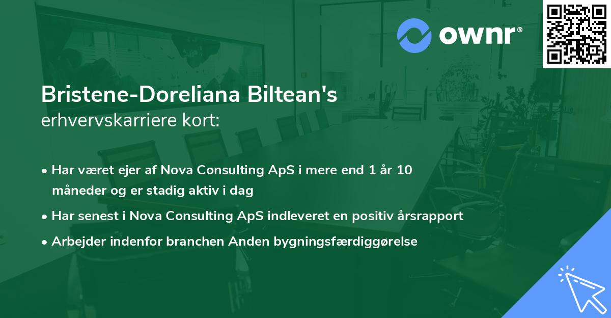 Bristene-Doreliana Biltean's erhvervskarriere kort