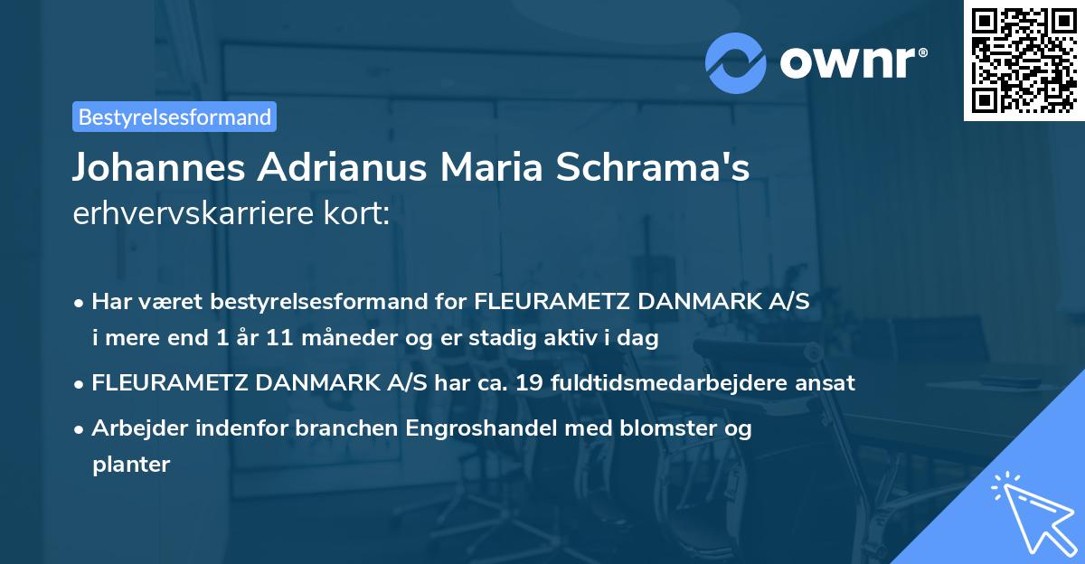 Johannes Adrianus Maria Schrama's erhvervskarriere kort
