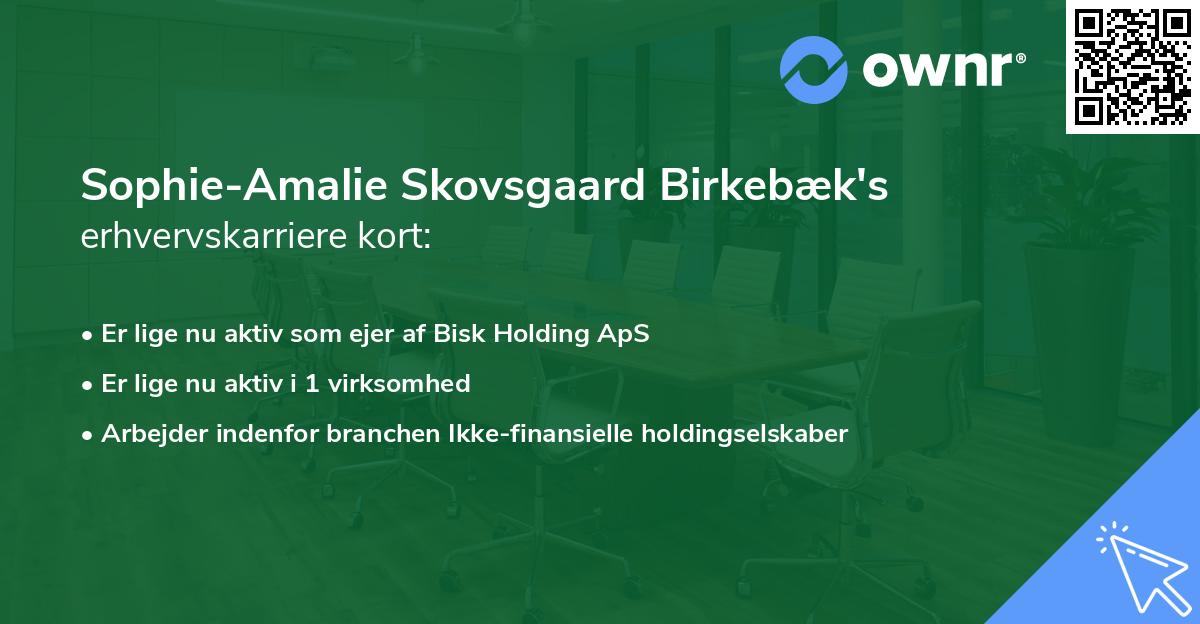 Sophie-Amalie Skovsgaard Birkebæk's erhvervskarriere kort