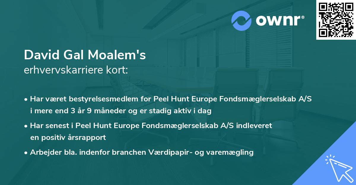 David Gal Moalem's erhvervskarriere kort