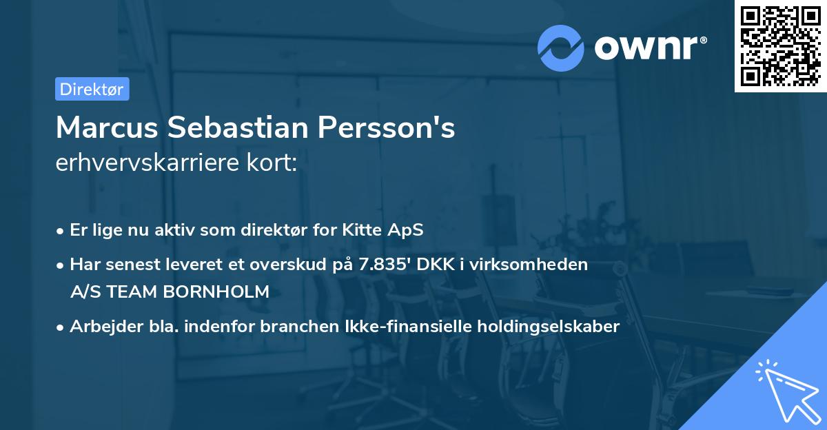 Marcus Sebastian Persson's erhvervskarriere kort