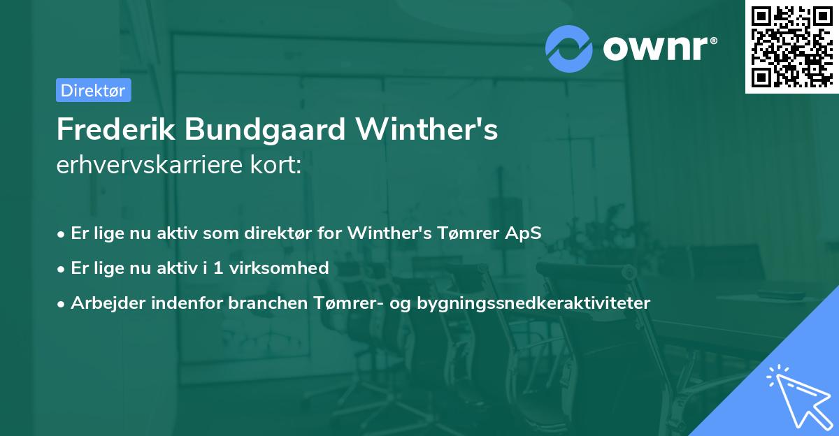 Frederik Bundgaard Winther's erhvervskarriere kort