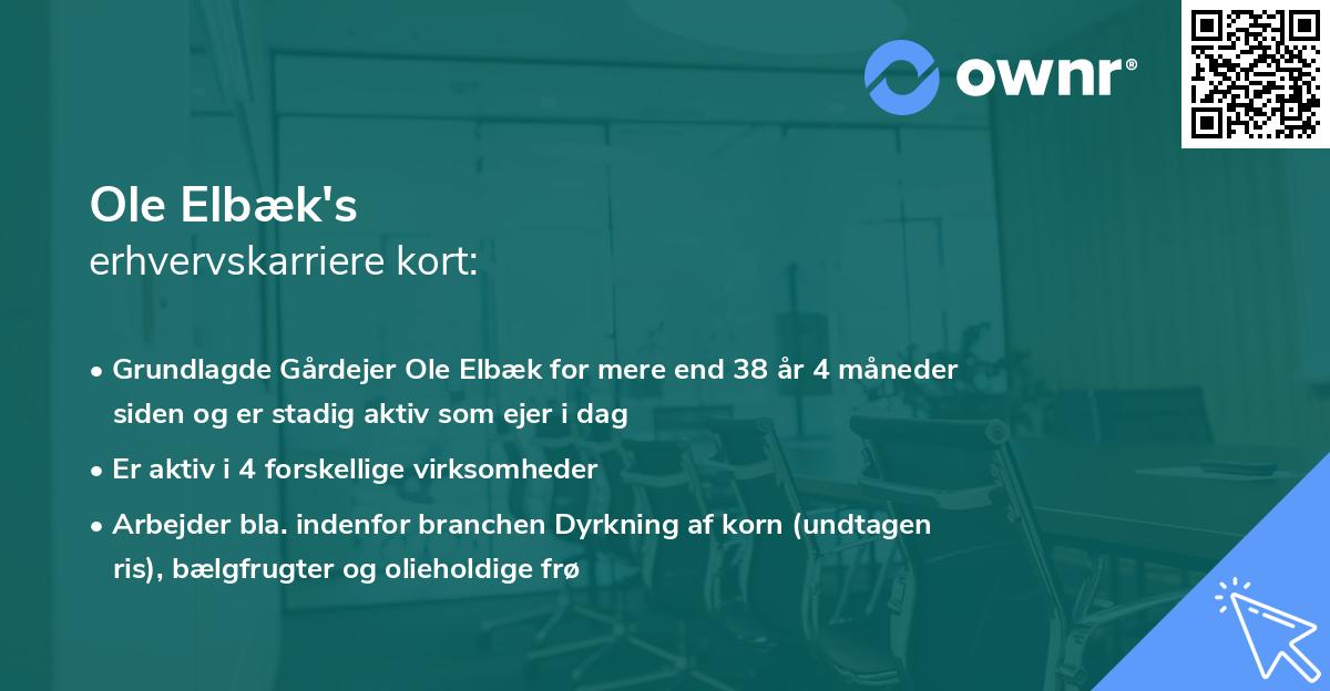 Ole Elbæk's erhvervskarriere kort