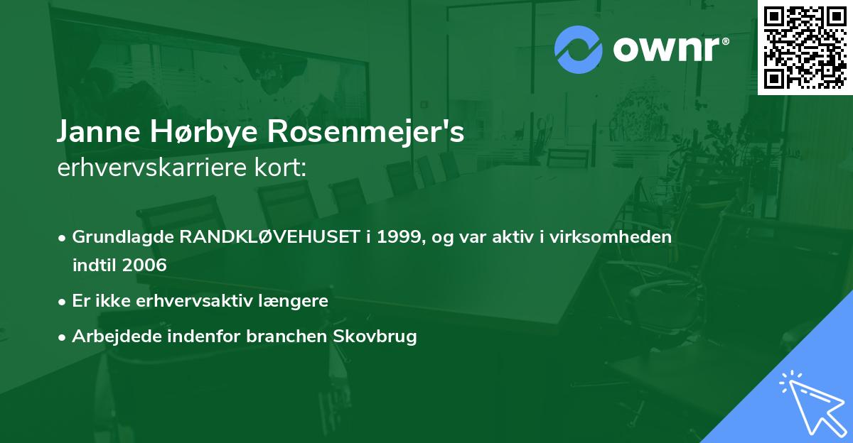 Janne Hørbye Rosenmejer's erhvervskarriere kort