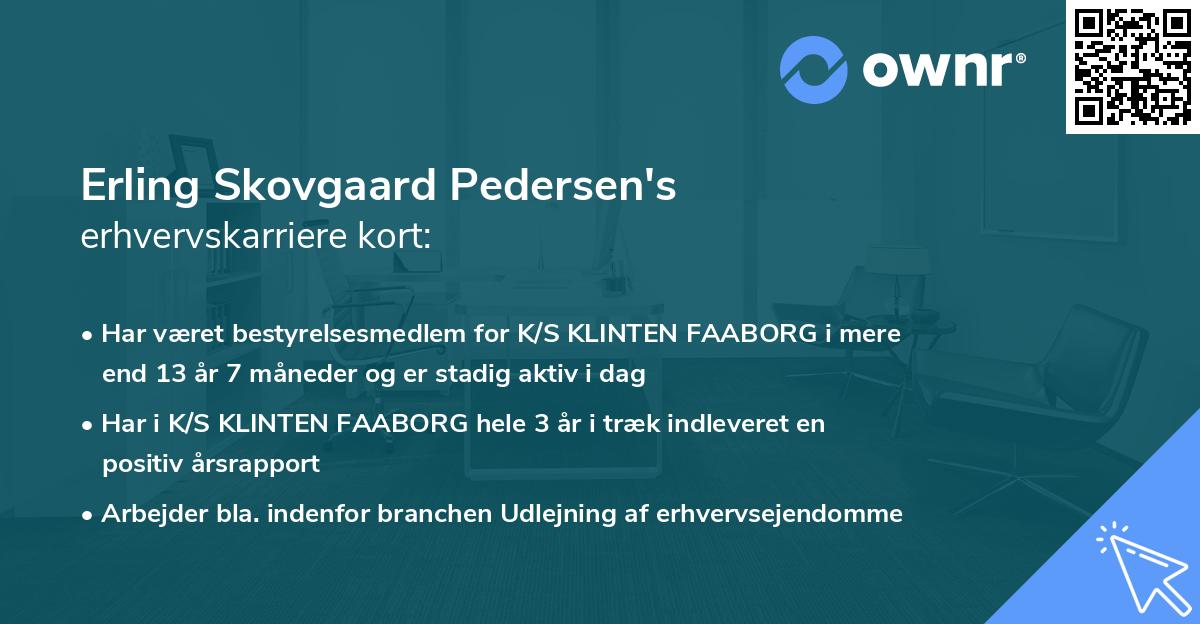 Erling Skovgaard Pedersen's erhvervskarriere kort