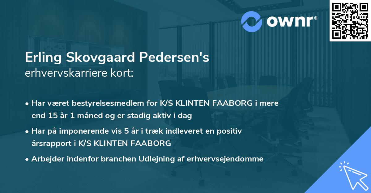 Erling Skovgaard Pedersen's erhvervskarriere kort
