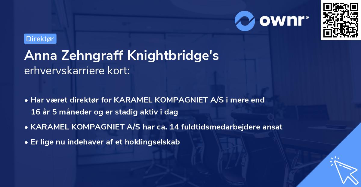 Anna Zehngraff Knightbridge's erhvervskarriere kort