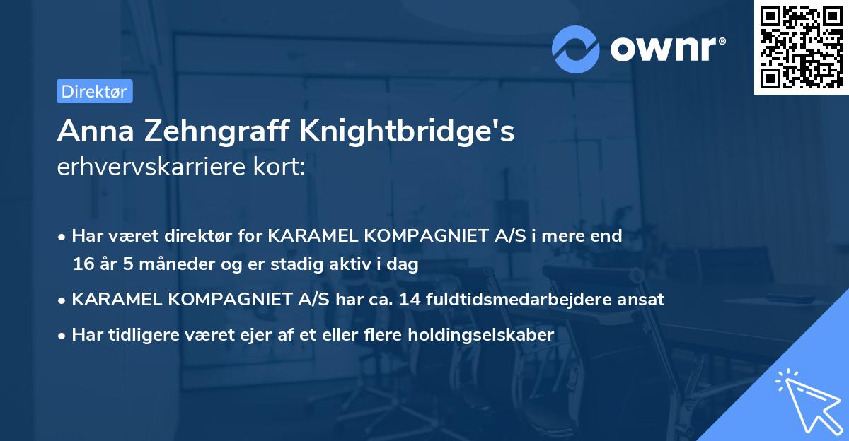 Anna Zehngraff Knightbridge's erhvervskarriere kort