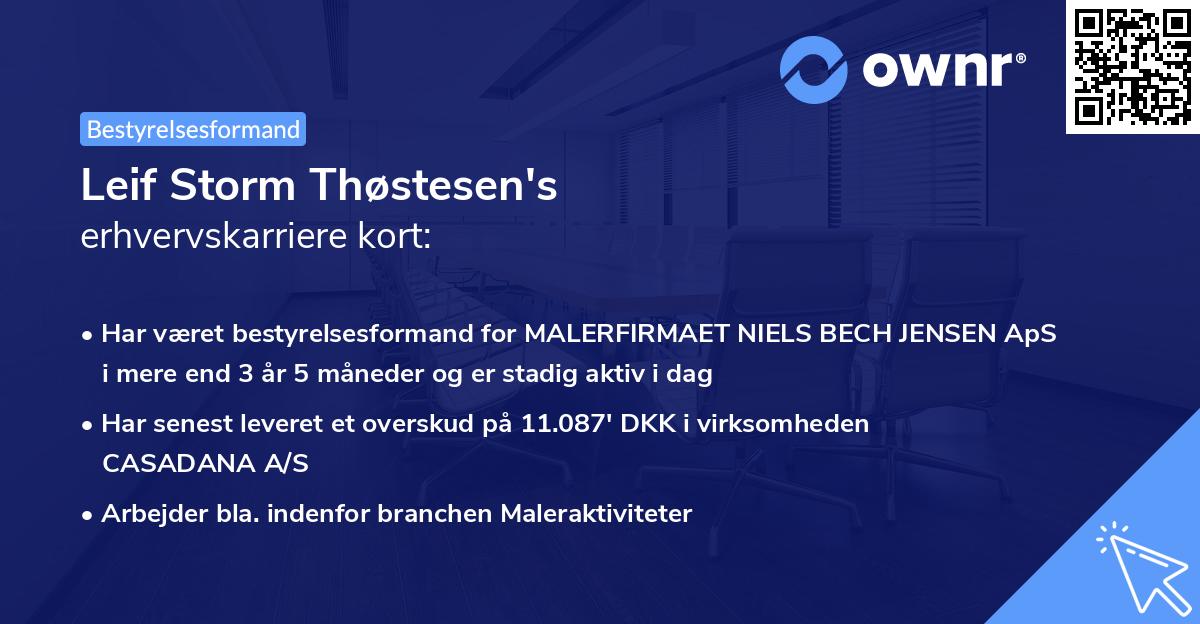 Leif Storm Thøstesen's erhvervskarriere kort