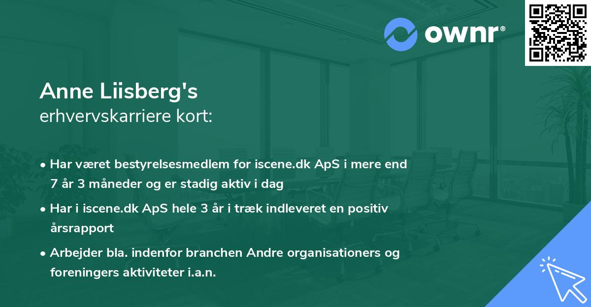 Anne Liisberg's erhvervskarriere kort
