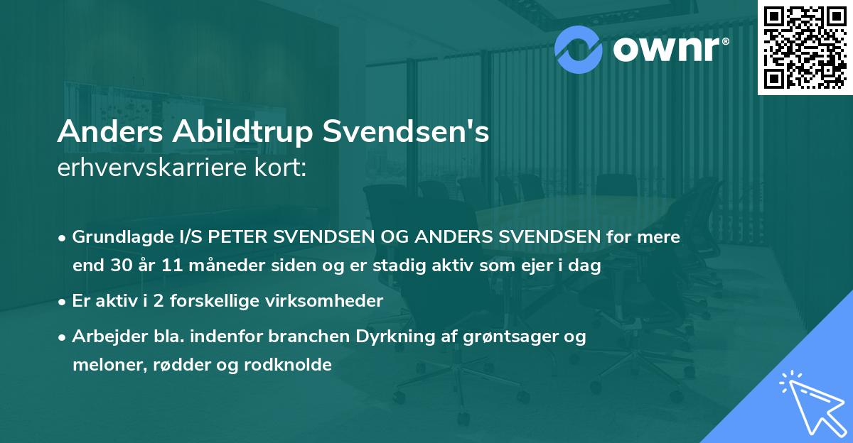 Anders Abildtrup Svendsen's erhvervskarriere kort