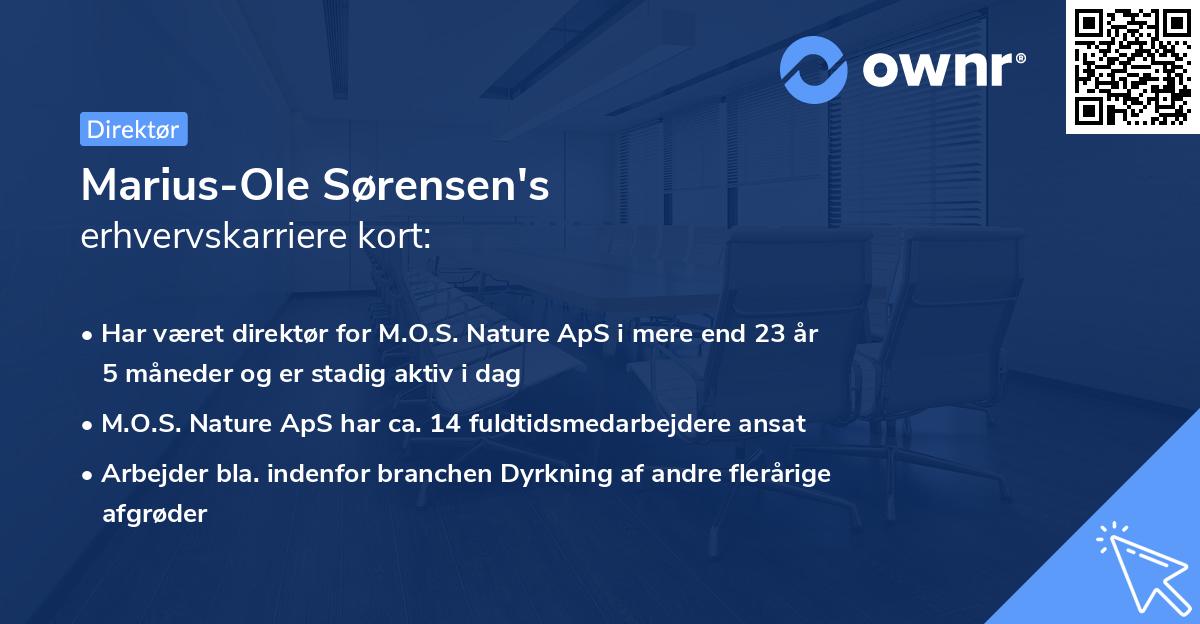 Marius-Ole Sørensen's erhvervskarriere kort