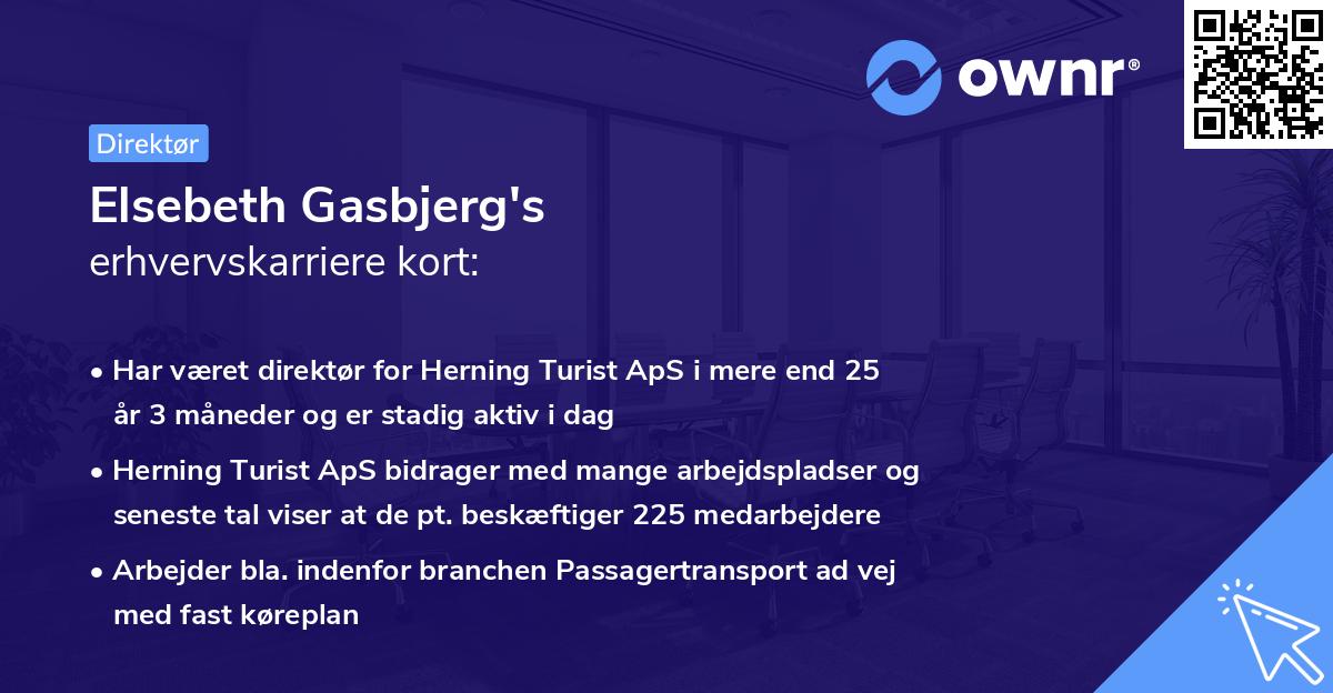 Elsebeth Gasbjerg's erhvervskarriere kort