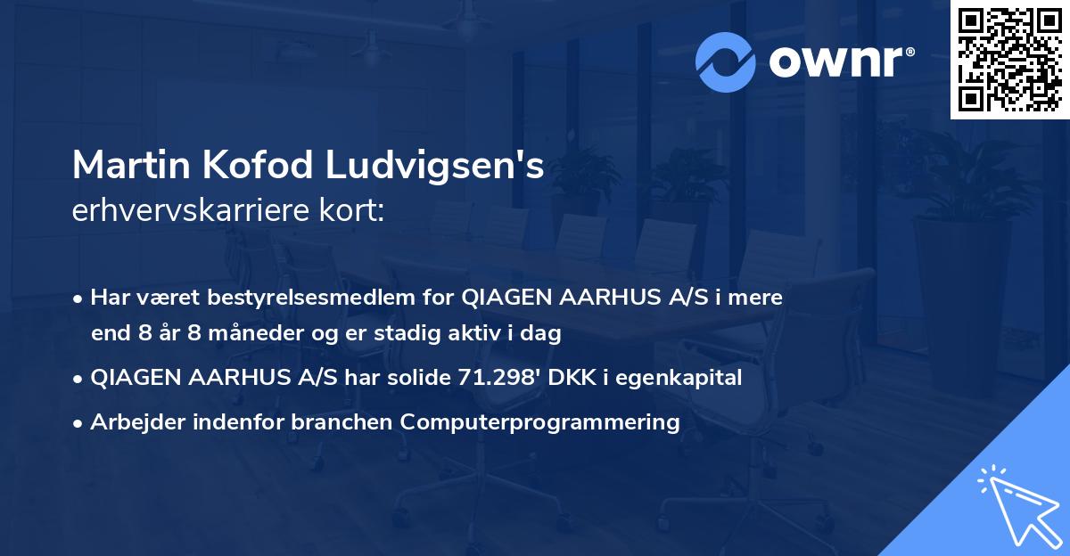 Martin Kofod Ludvigsen's erhvervskarriere kort