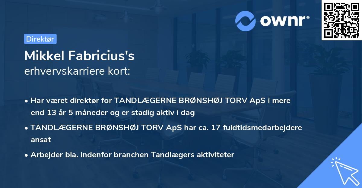 Mikkel Fabricius's erhvervskarriere kort
