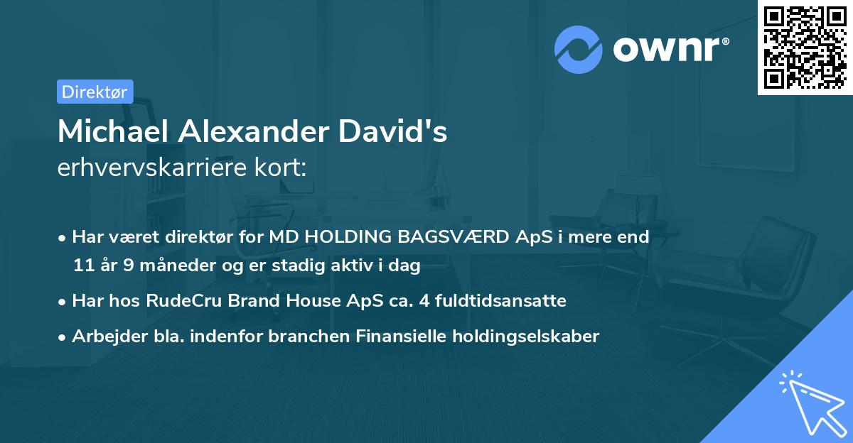 Michael Alexander David's erhvervskarriere kort