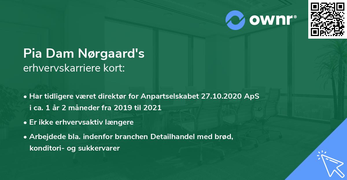 Pia Dam Nørgaard's erhvervskarriere kort