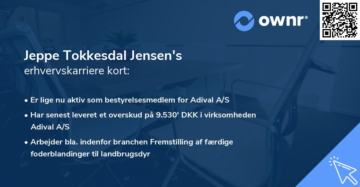 Jeppe Tokkesdal Jensen's erhvervskarriere kort