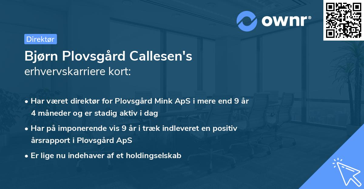 Bjørn Plovsgård Callesen's erhvervskarriere kort