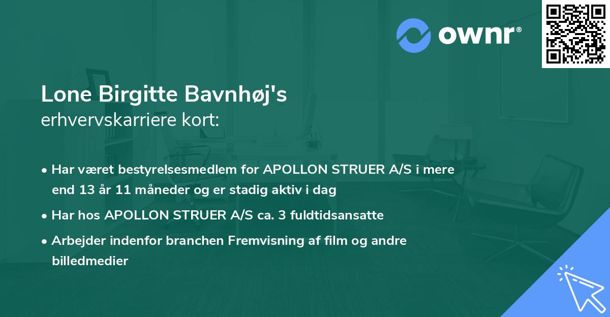 Lone Birgitte Bavnhøj's erhvervskarriere kort
