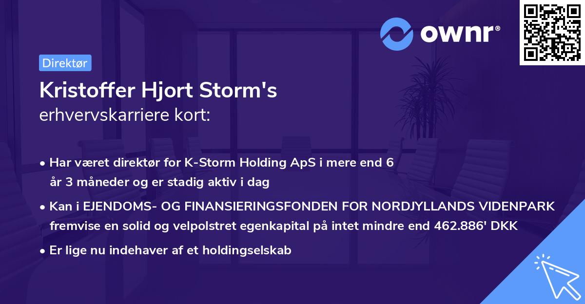 Kristoffer Hjort Storm's erhvervskarriere kort