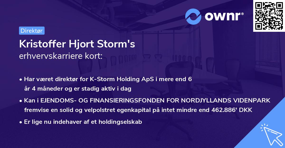 Kristoffer Hjort Storm's erhvervskarriere kort