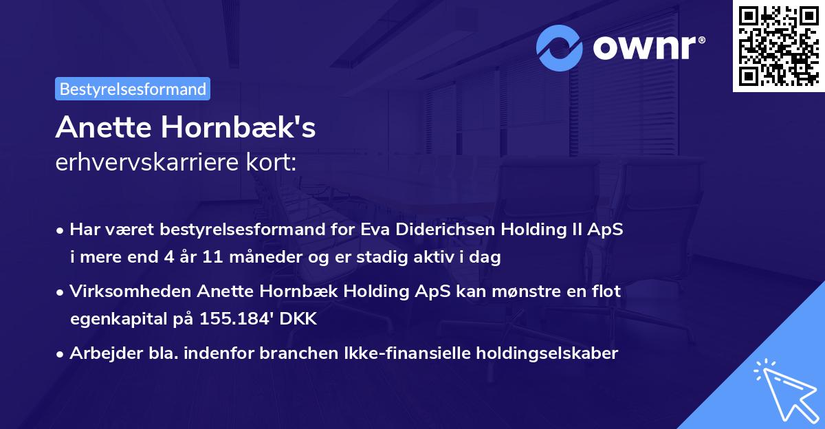 Anette Hornbæk's erhvervskarriere kort