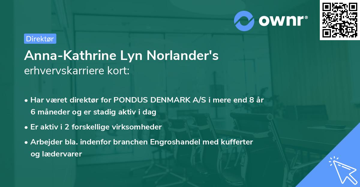 Anna-Kathrine Lyn Norlander's erhvervskarriere kort