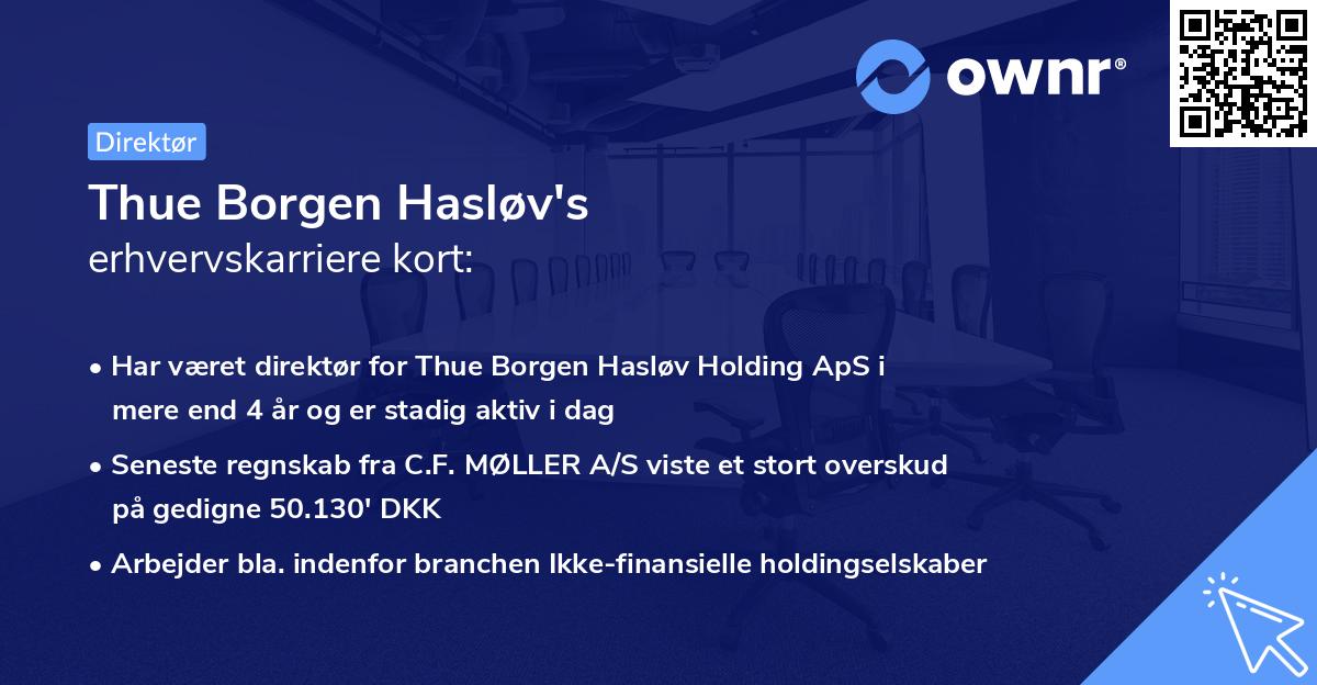 Thue Borgen Hasløv's erhvervskarriere kort