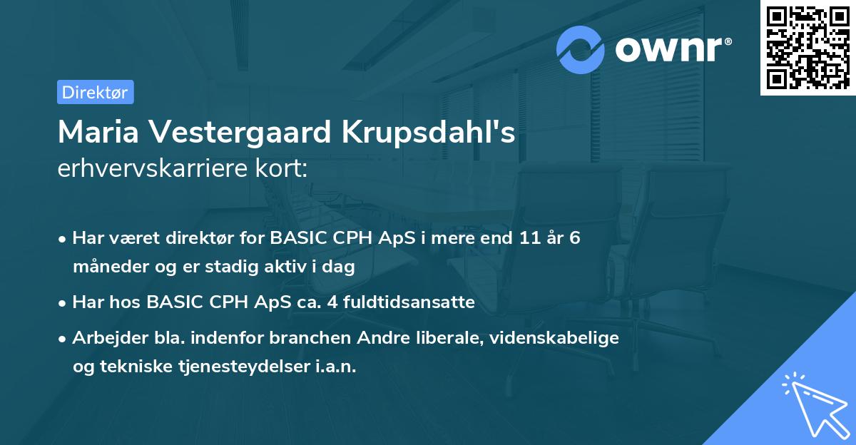 Maria Vestergaard Krupsdahl's erhvervskarriere kort