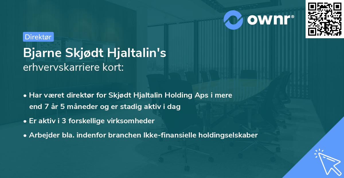 Bjarne Skjødt Hjaltalin's erhvervskarriere kort