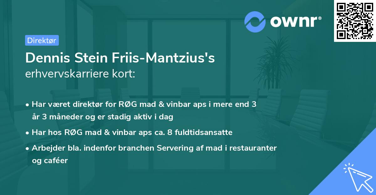 Dennis Stein Friis-Mantzius's erhvervskarriere kort