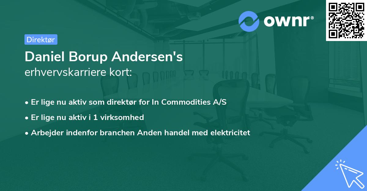 Daniel Borup Andersen's erhvervskarriere kort