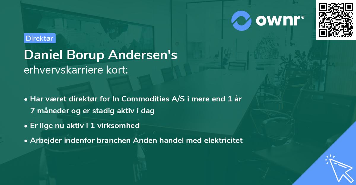 Daniel Borup Andersen's erhvervskarriere kort