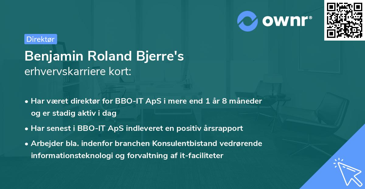 Benjamin Roland Bjerre's erhvervskarriere kort