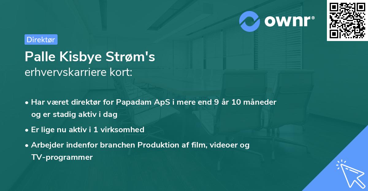 Palle Kisbye Strøm's erhvervskarriere kort